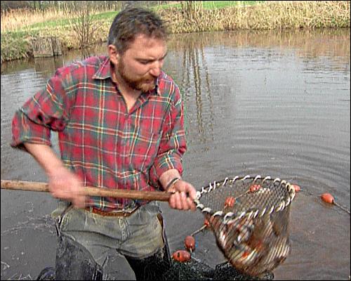 In Heiner Sindels Gasthaus kommt der Fisch aus dem eigenen Weiher frisch auf den Tisch