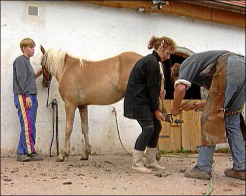 Sigrun Kleber setzt sich seit 1995 mit den Pferdefreunden Birnbaum e. V. für die Rettung von Jungtieren ein