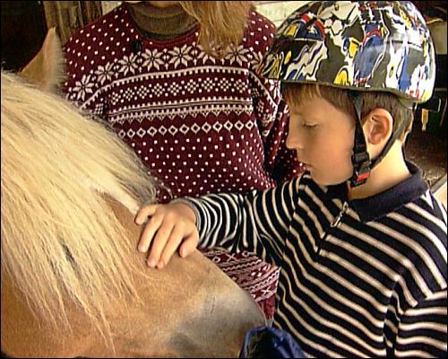 Kinder - speziell autistische - bauen schnell eine Bindung zu dem Pferd auf und haben so Spaß an der Therapie