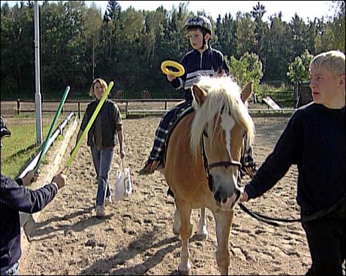 Für das Heilpädagogische Reiten muss das Pferd einen gutmütigen Charakter und eine Dressurausbildung haben