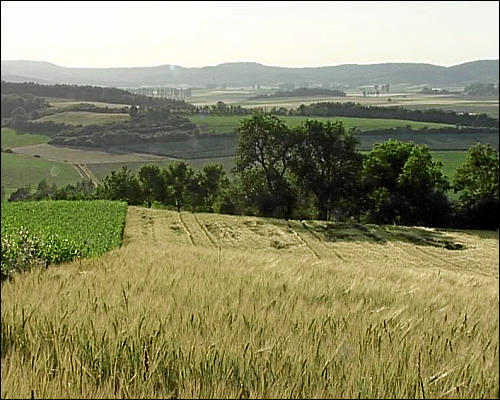 Biolandschaft Ehegrund