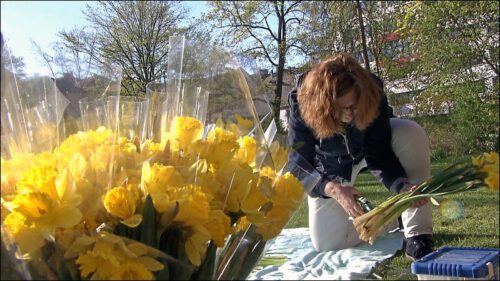 Pfarrerin Irene Stooß-Heinzel legt eine Ostersonne aus Blumen - als Sinnbild der Auferstehung