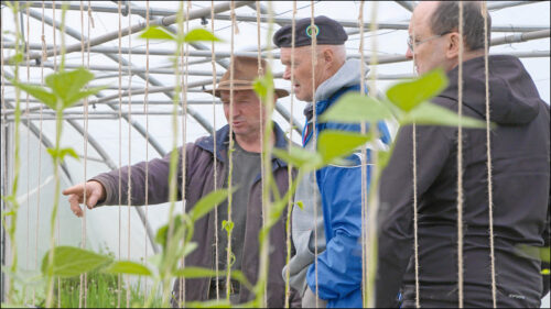 Bei der Solidarischen Landwirtschaft wird ein enges Verhältnis zwischen Erzeuger und Verbraucher aufgebaut. Hier weiß der Stadtbewohner, wo sein Gemüse wächst.