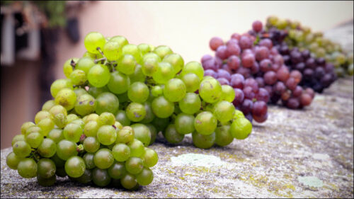 Aus sechs verschiedenen Sorten besteht der Wein von Winzer Fritz: Weißer und grauer Burgunder, Bukettraube, Gewürztraminer, Blauer Silvaner und Adelfränkischer.